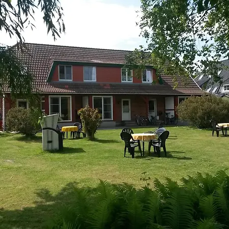 Waldkauz - Ulenhoef * Prerow