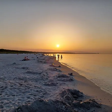 Waldkauz - Ulenhoef Prerow